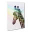 Giraffe Facing The Rainbow - Wrapped Canvas-56641459