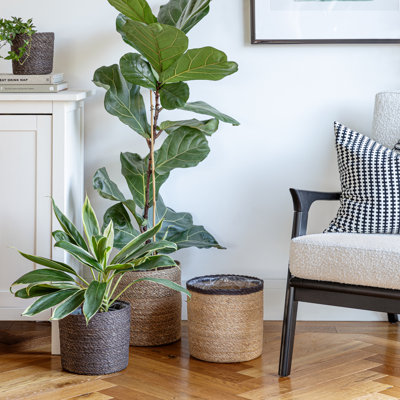 Theo Basket Set