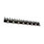Tall Pines 8 - Light Vanity Light