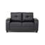 2 Piece Sofa Set