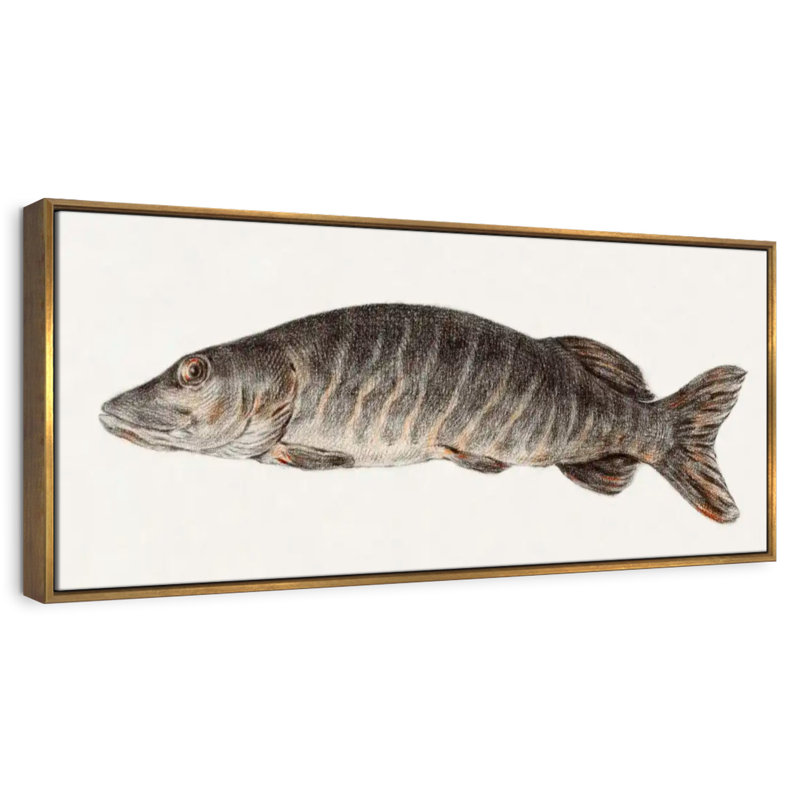 Brochet, 43 po x 15 po, Floating Frame Gold