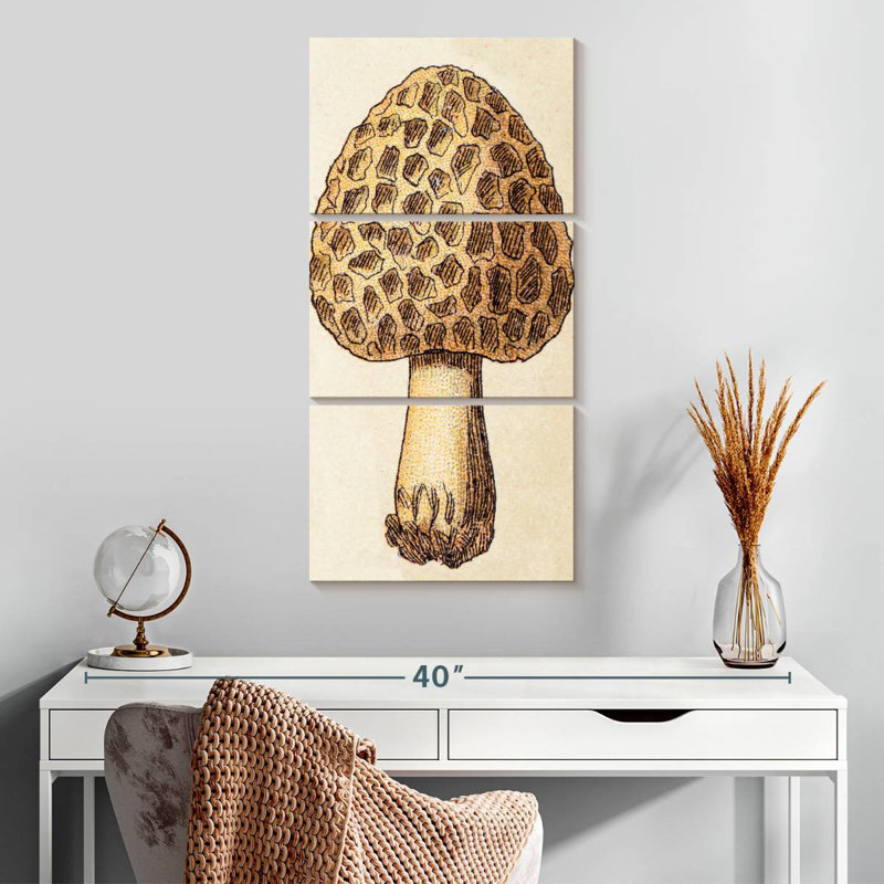 Morille et champignon, H 32 po x l 15 po