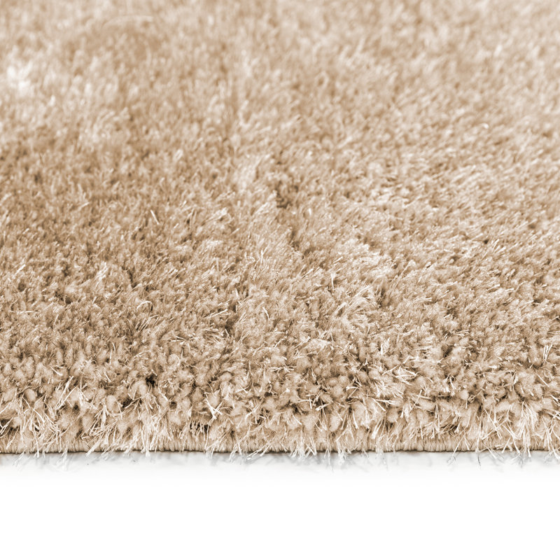 Cestar Shag Indoor / Outdoor Area Rug, Rectangle 120 x 170 cm