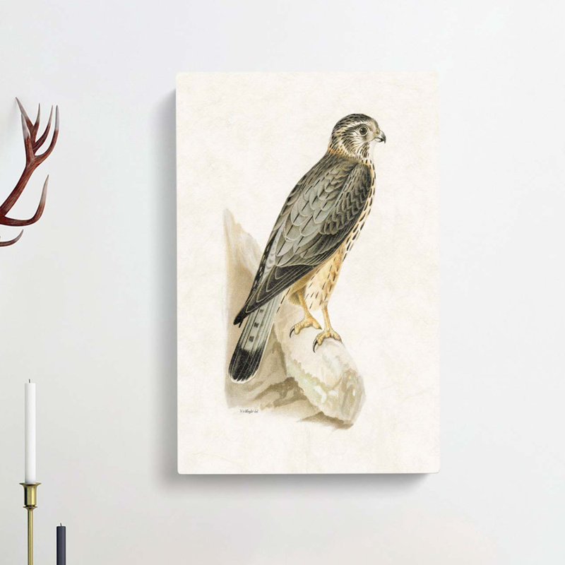 Merlin Falcon by Von Wright - Wrapped Canvas, 60cm H x 40cm W x 3cm D