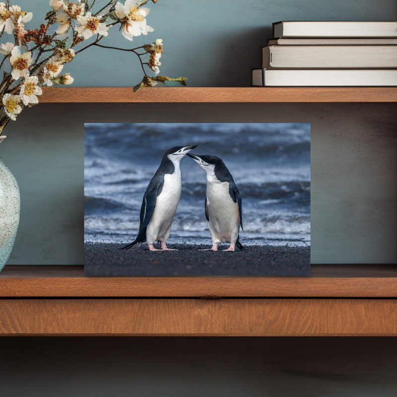 Penguin Affection Contemporary Bird Penguin Beach Wall Art Print 1 Piece Wrapped Canvas Wall Art, 45.72cm H x 30.48cm W
