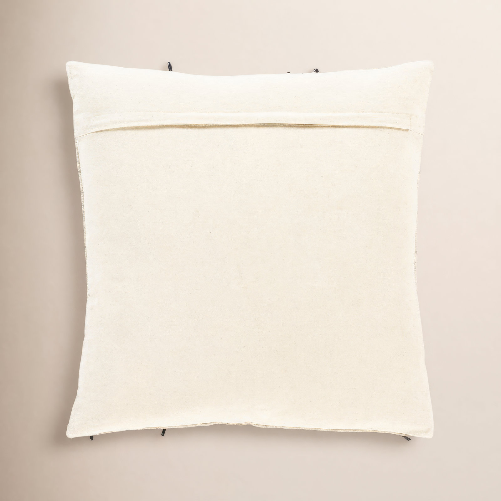 Santina Tassels Cotton Throw Pillow, 20" x 20", Down