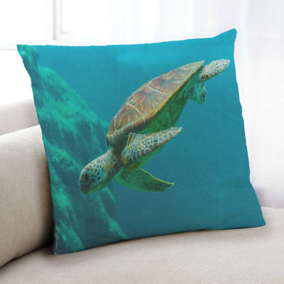 Throw Pillow