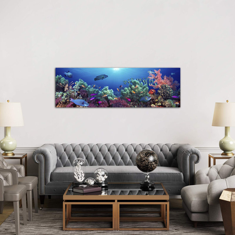 School Of Fish Swimming Near A Reef, Indo-Pacific Ocean - Wrapped Canvas Panoramic Print, 182.88 cm H x 60.96 cm W
