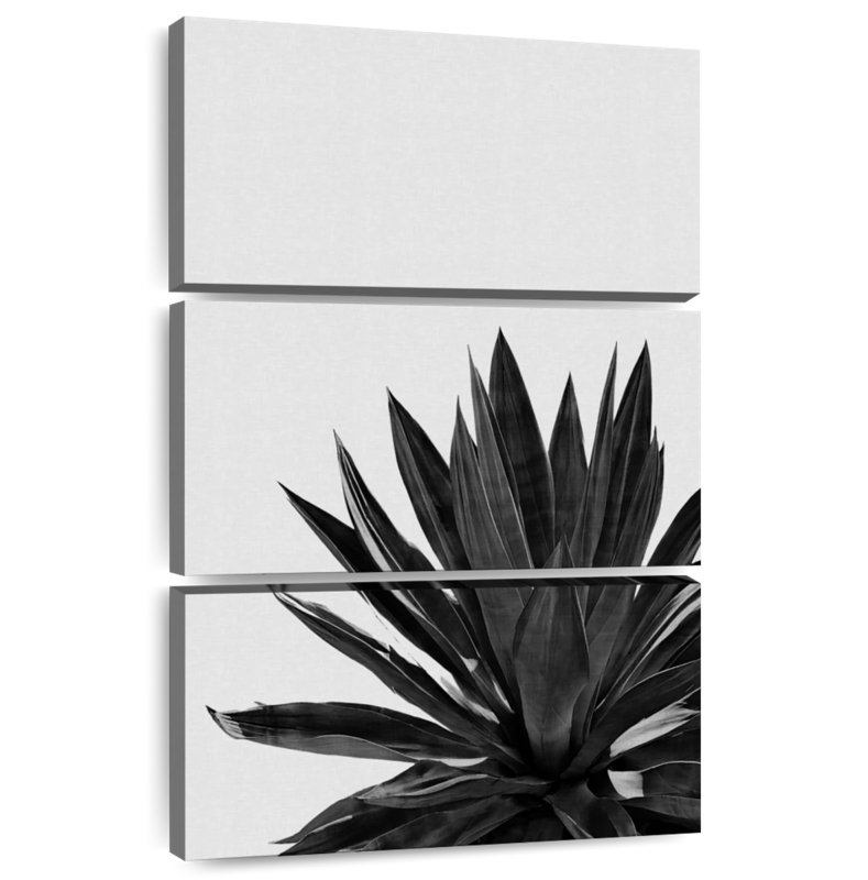 Harnek Agave Cactus BW, 38" H x 24" W