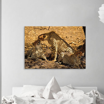 Print on Canvas