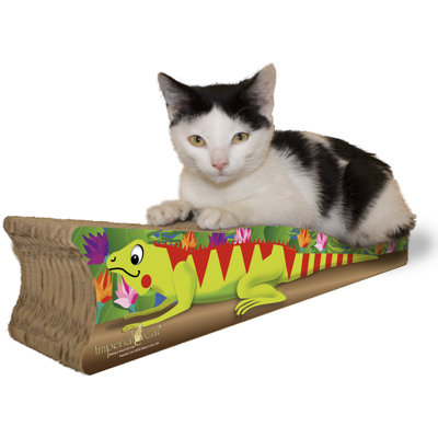 Kieffer Scratching Post