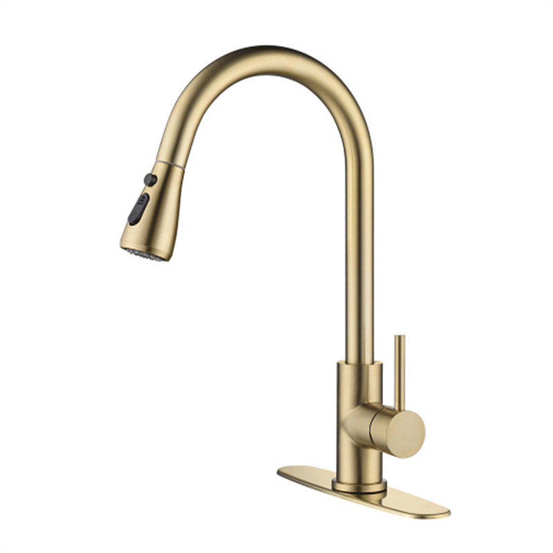 Red Cloud Pull Down Kitchen Faucet, Gold