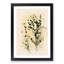 Birds in the Tree in Abstract - Picture Frame Graphic Art Print-55686549-55686550