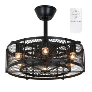 Sasheen 19.6'' 5 - Blade Caged Ceiling Fan with Remote Control
