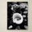 Glowing Beach Shell Photographic Print on Wrapped Canvas-19533201