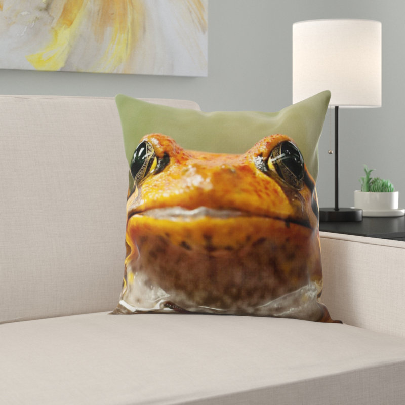 Coussin de grenouille