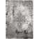 Dumont Oriental Indoor Rug