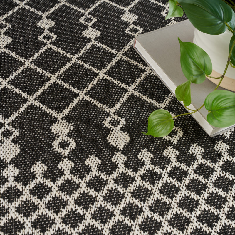 Robbs Rectangle Indoor/Outdoor Area Rug, Rectangle 4' x 6', Black