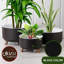 Ensemble de 3 pots à fleurs en plastique pour plantes avec trou de drainage Ginza Maison -115744818