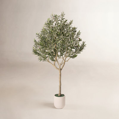 Ashwell Faux Olive Tree