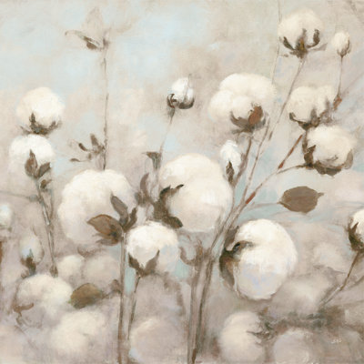 Coton neutre