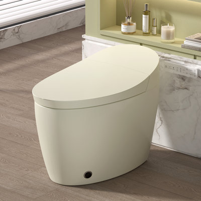 Toilette moderne bidet, porcelaine 12 po, maison intelligente compacte