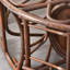 Casual Rattan Rocking Chair with Retractable Pedal