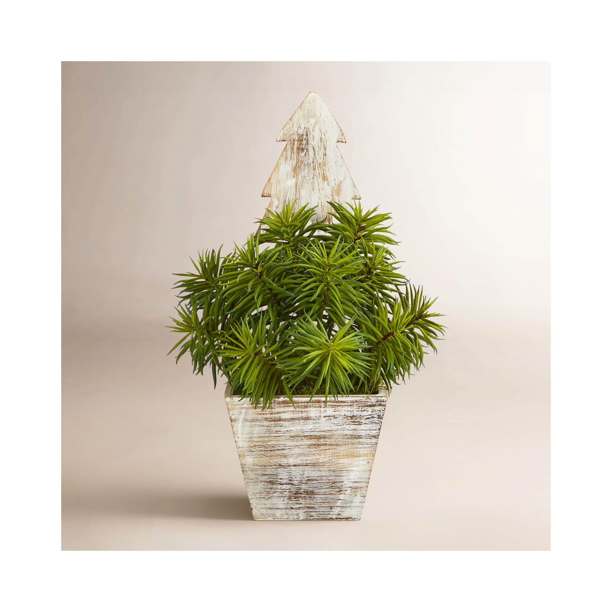 15'' Faux Succulent in Wood Planter