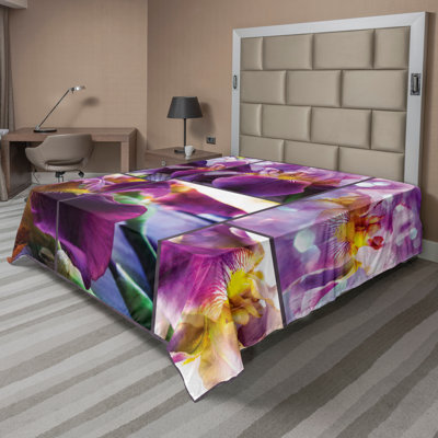 Drap Ambesonne