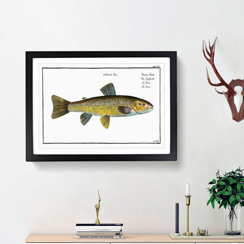 Trout Fish by M.E. Bloch - Framed Print, 48cm H x 65cm W x 2cm D, Black Framed