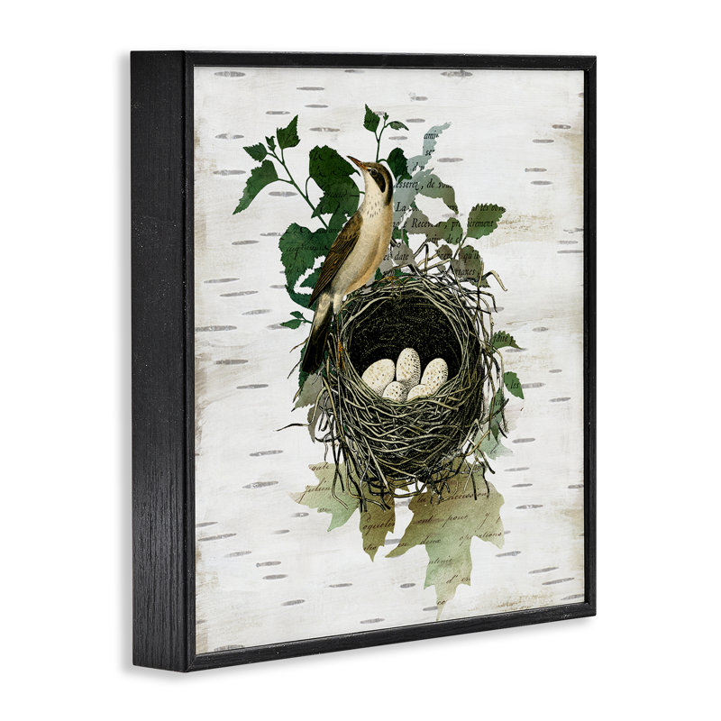 Nid d'oiseau rétro et giclée encadrée, design par Susan Arnot, Giclée encadrée noir minuit, H 12 po x l 12 po
