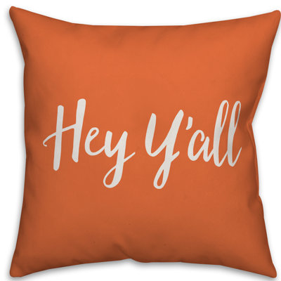  Coussin intérieur / extérieur Hey Y'all
