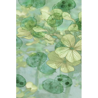 Mint Progeny I by Sharon Chandler - Wrapped Canvas Painting