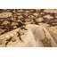 Tapis de bois one-of-kind-noué la 2010 ushak brun foncé 8 pi 2 po x 10 pi zone de laine 3 po Afiyah