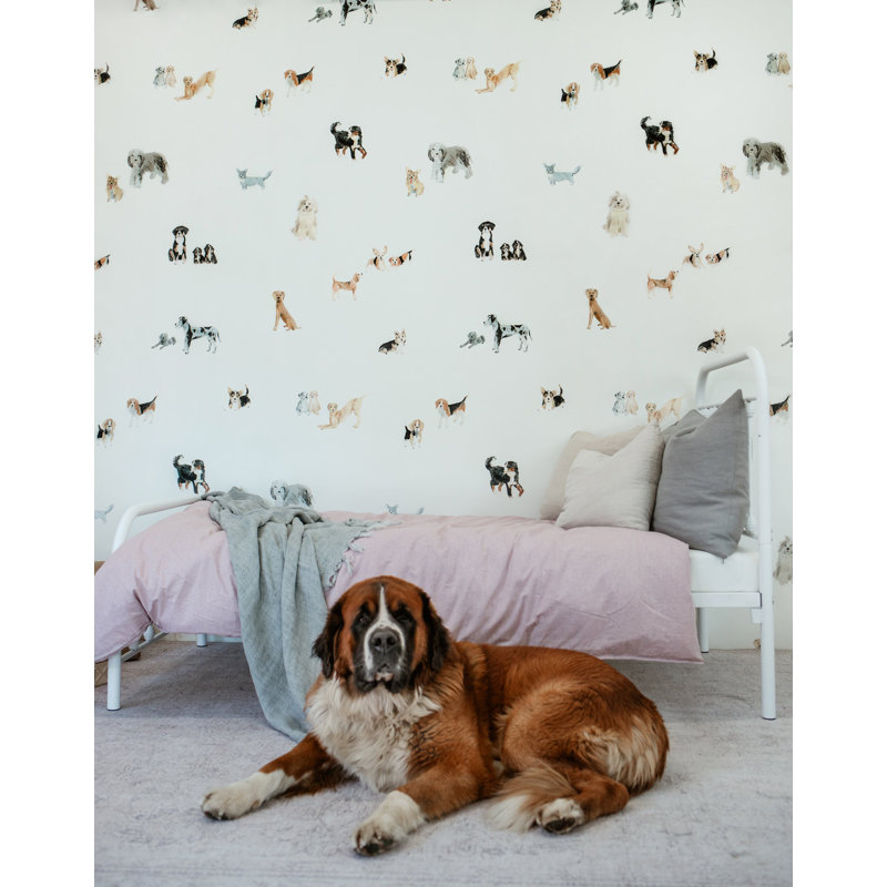 Wallpaper, Pre-Pasted