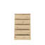 Priyaka 5 - Drawer Rectangle Accent Chest-1817208389