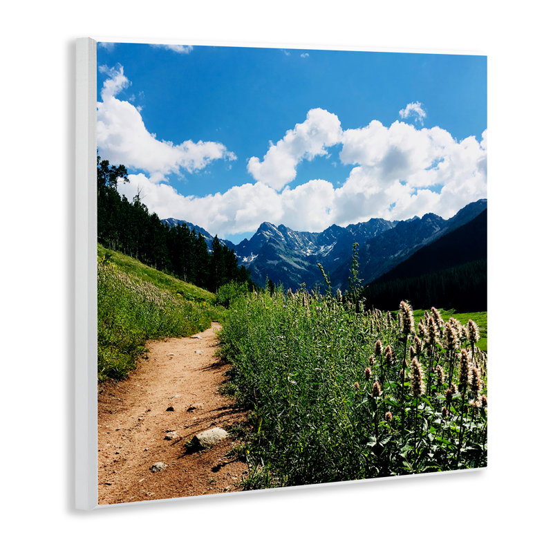 «Lovely Path with Clouds» par Anna Coppel