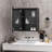 Kevia Surface Medicine Cabinet with Mirror-1639124923-1639124922