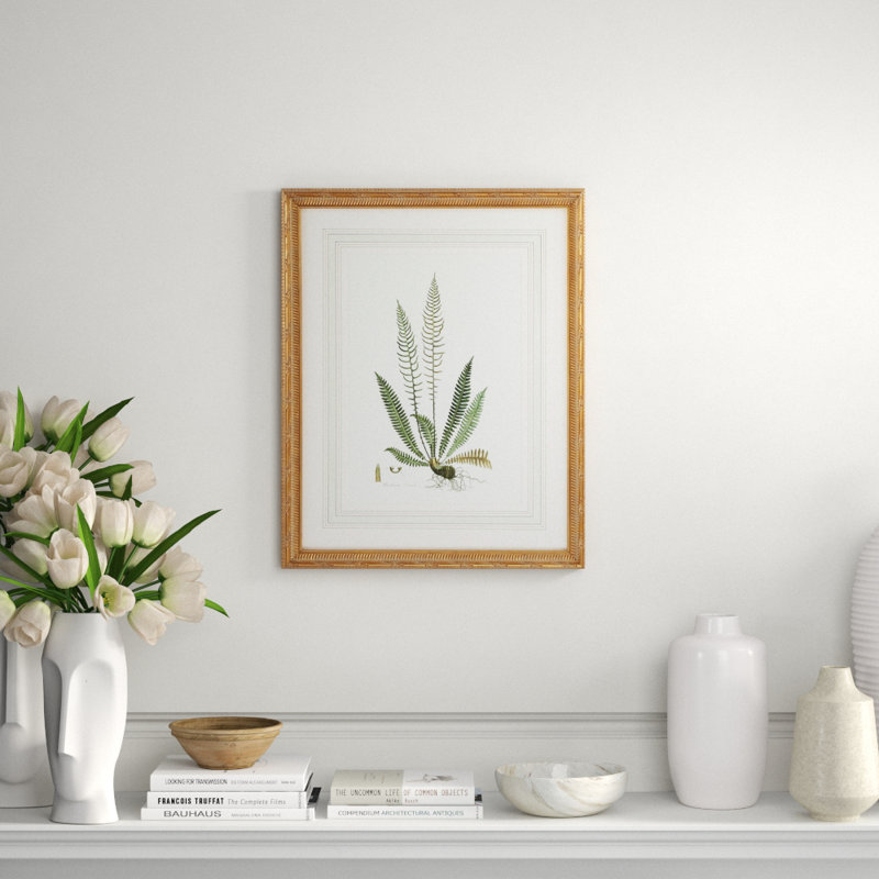 Curtis Ferns III Print