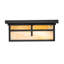 Hyde Park 2 - Light Flush Mount