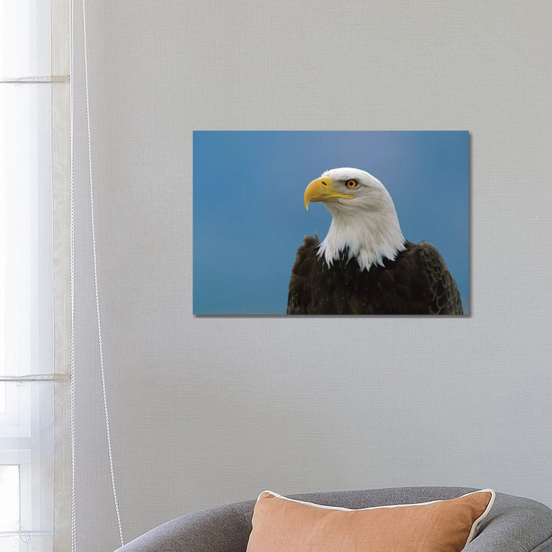Bald Eagle Profile, North America by Konrad Wothe - Wrapped Canvas Print, 66.04 cm H x 45.72 cm W