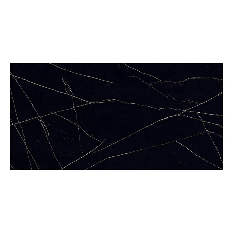 Veneto 23.6 In. X 47.2 In. Polished Porcelain Rectangle Wall And Floor Tile (15.5 Sq Ft/Case) - 2 Sheets