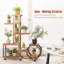 Aranea Plant Stand