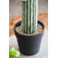 Cactus artificiel Saguaro 8 x 5 x 24,5 po en pot noir