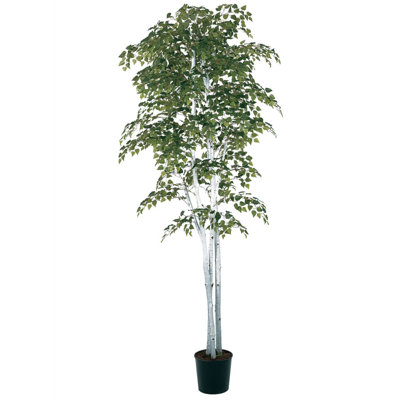 Faux Birch Tree in Planter