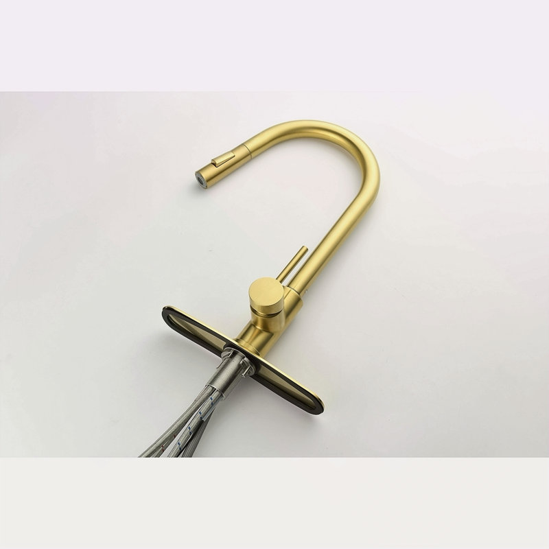 Kitchen Faucet With Pull Down Sprayer