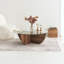 Tonna Four Leg Coffee Table-1124232942-1124232941