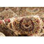 Wool Oriental Area Rug