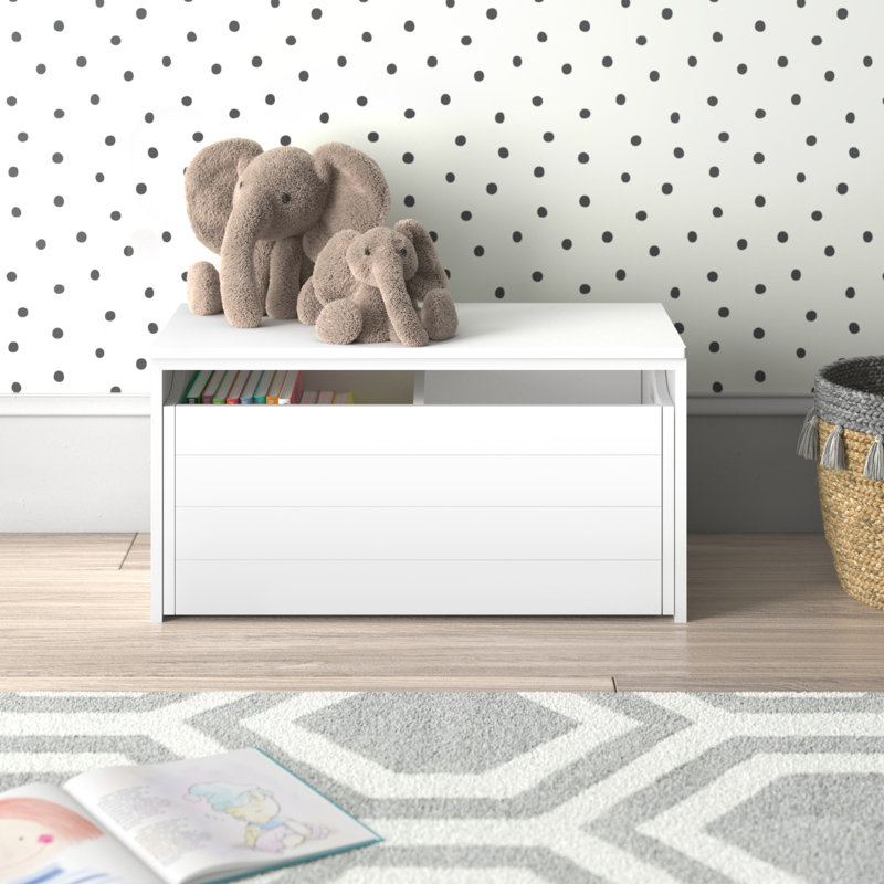 Sallie Kid's Toy Storage Bench