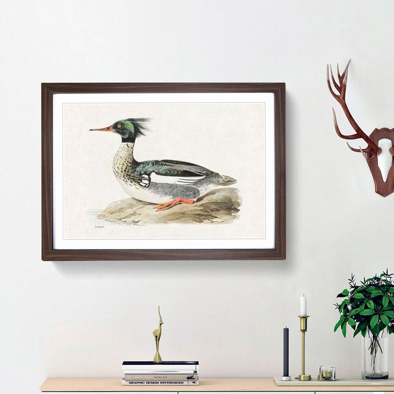 Merganser Diving Duck by Von Wright - Picture Frame Painting Print on MDF, 27cm H x 36cm W x 2cm D, Walnut Framed